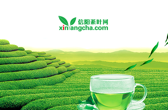 北京高端网站建设公司-信阳茶叶网